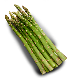 SZPARAGI ZIELONE 500G